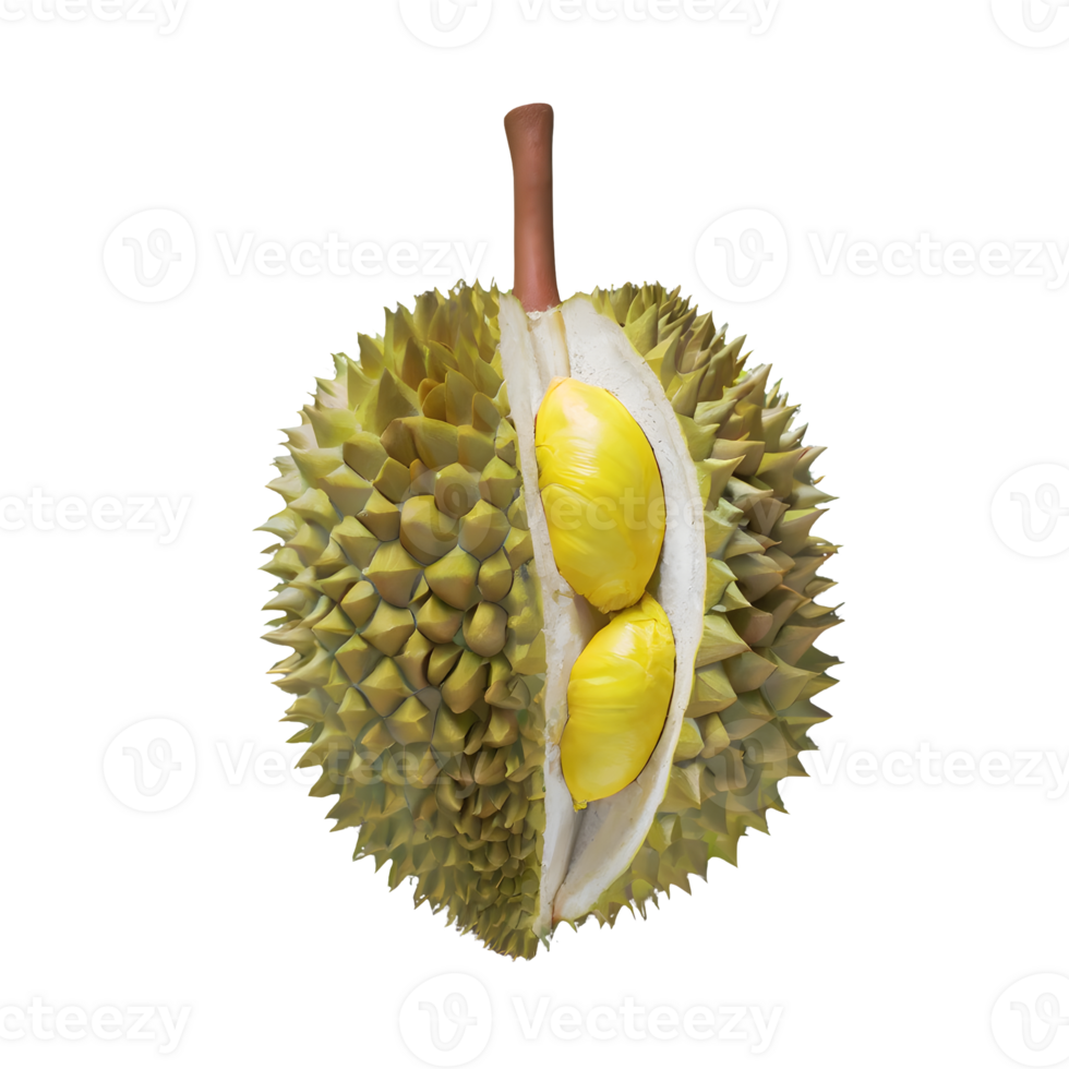 AI generated Durian fruit isolated on transparent background png