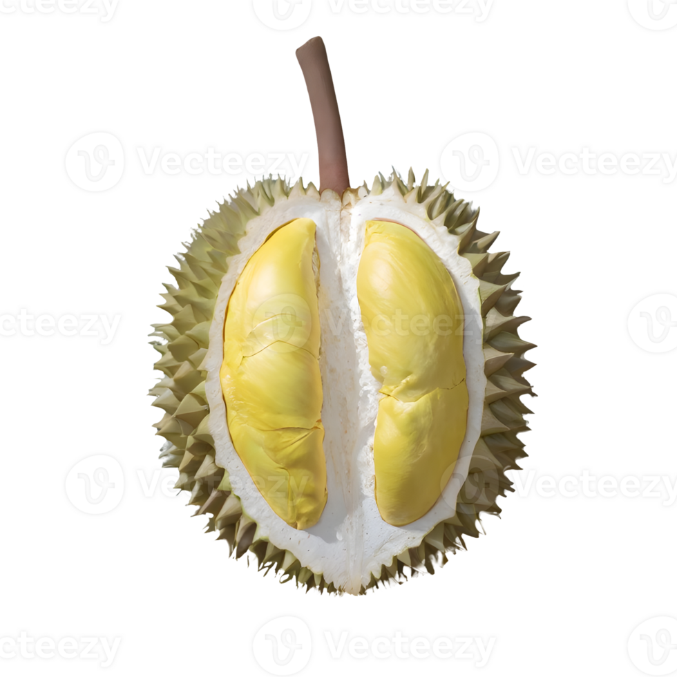 AI generated Durian fruit isolated on transparent background png