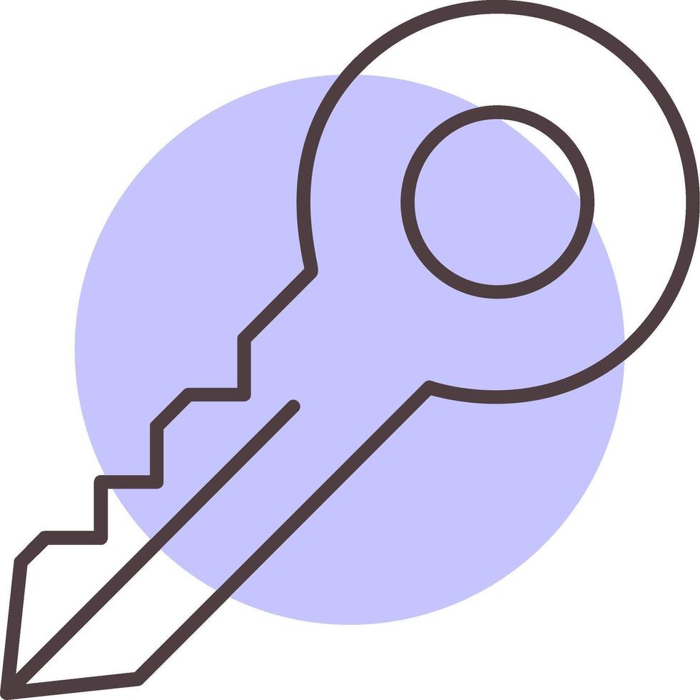 Key Line  Shape Colors Icon vector