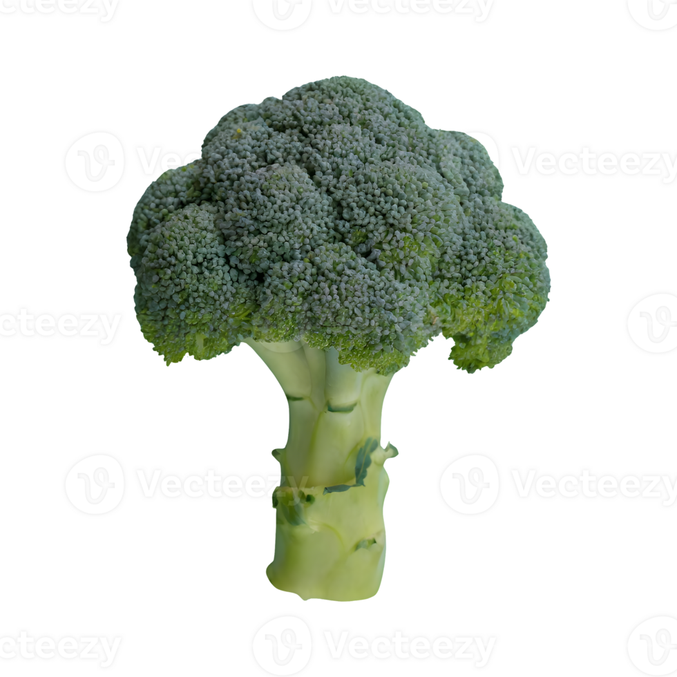 AI generated Fresh broccoli with drops isolated on transparent background png