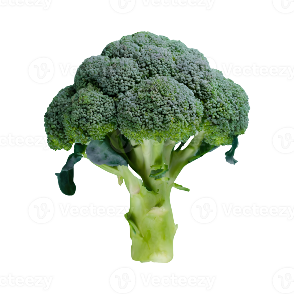 AI generated Fresh broccoli with drops isolated on transparent background png
