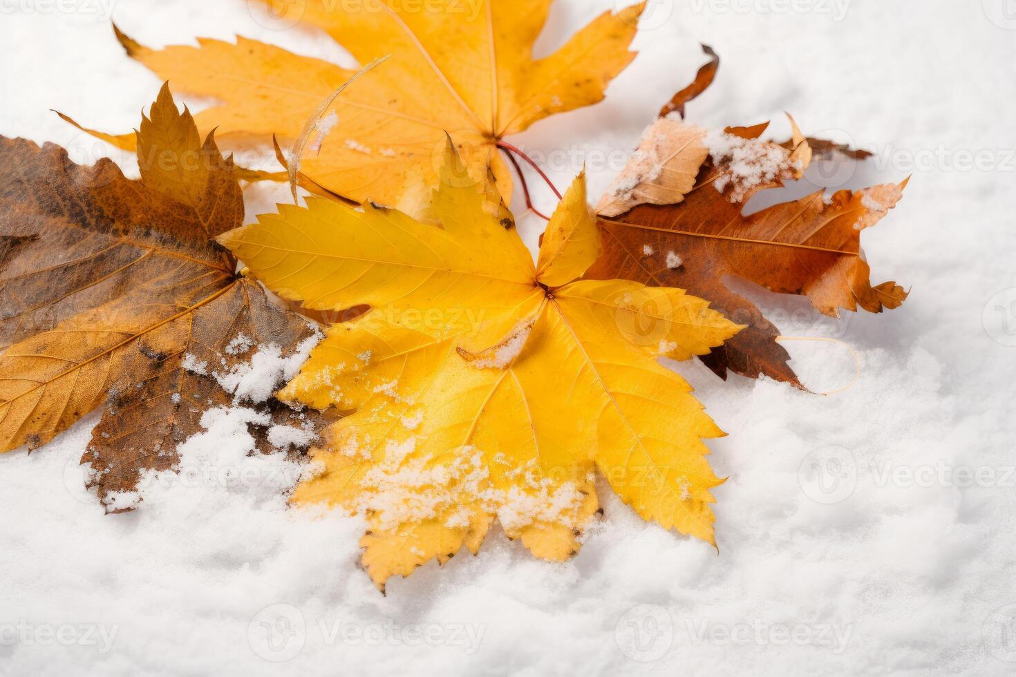 AI generated Autumn yellow leaves on snow. Generate ai photo