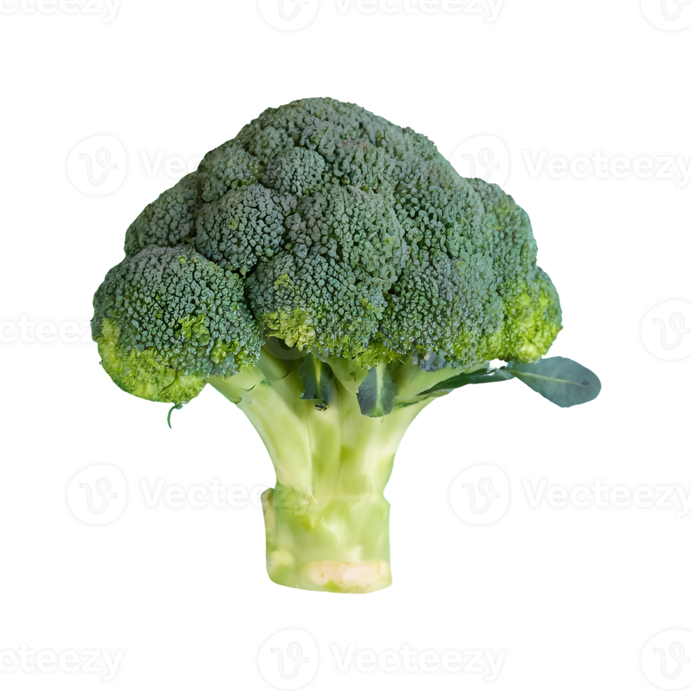 AI generated Fresh broccoli top view isolated on transparent background png
