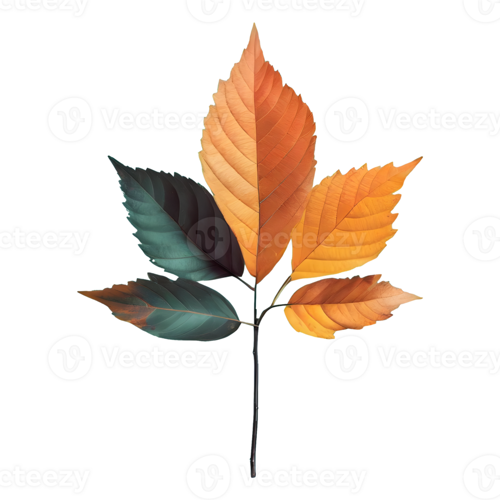 AI generated Leaves color change isolated on transparent background png