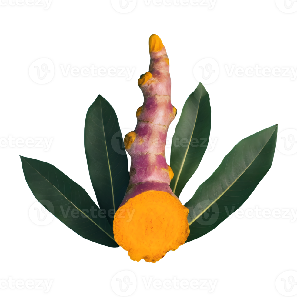 AI generated Fresh turmeric with leaves isolated on transparent background png