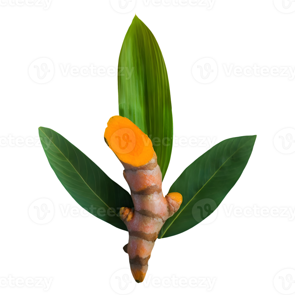AI generated Fresh turmeric with leaves isolated on transparent background png