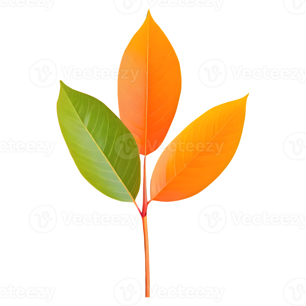 AI generated Leaves color change isolated on transparent background png