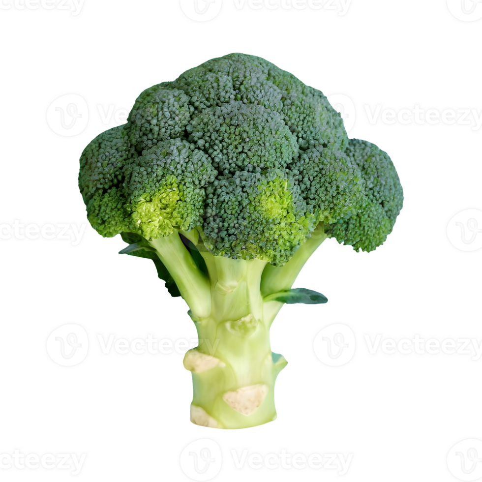 AI generated Fresh broccoli top view isolated on transparent background png