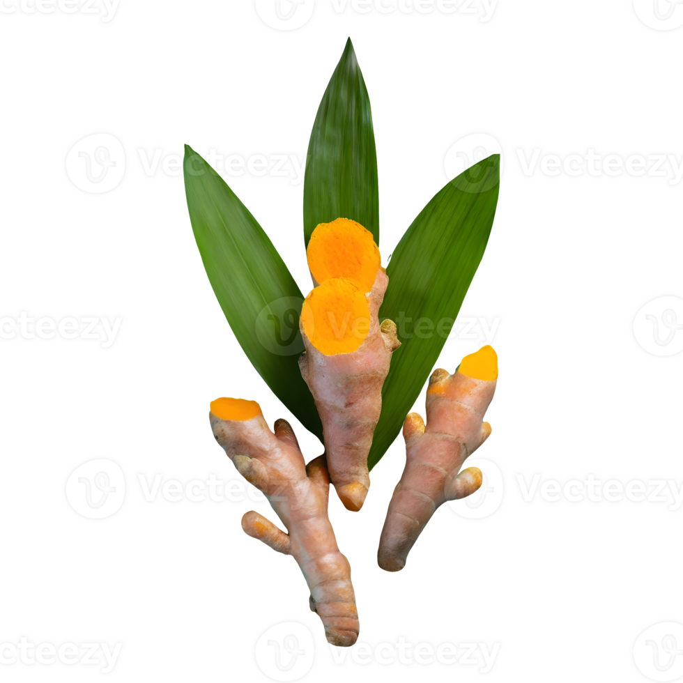 AI generated Fresh turmeric with leaves isolated on transparent background png