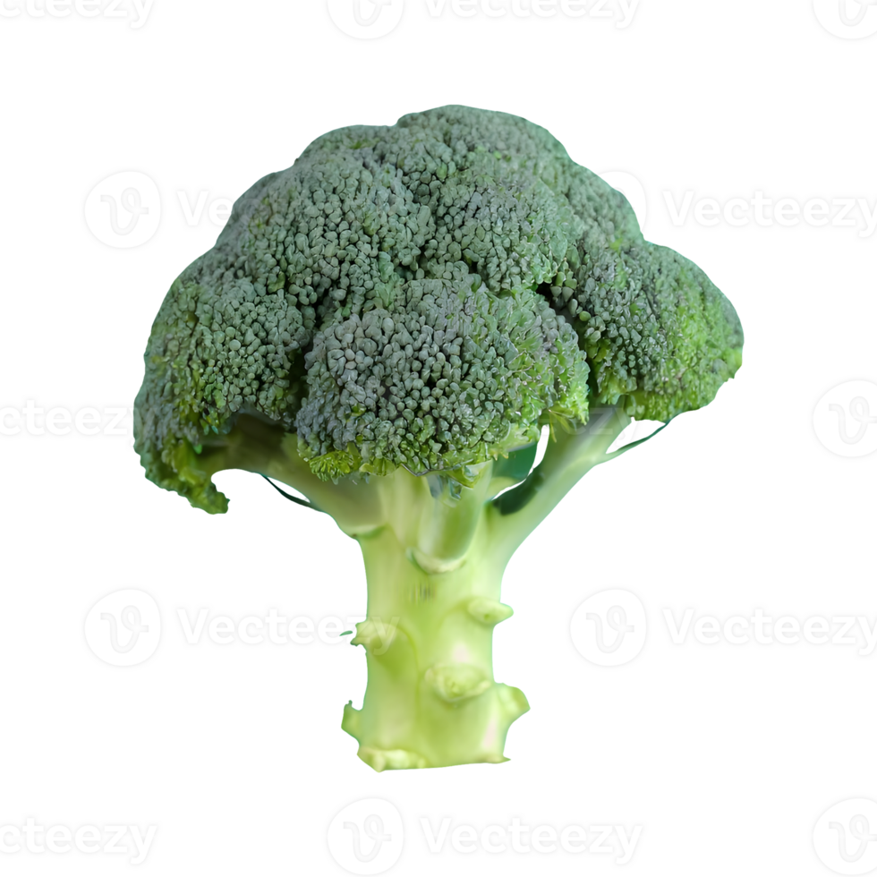 AI generated Fresh broccoli top view isolated on transparent background png