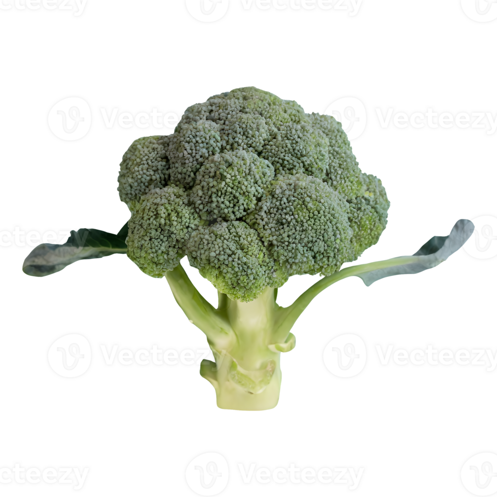 AI generated Fresh broccoli top view isolated on transparent background png