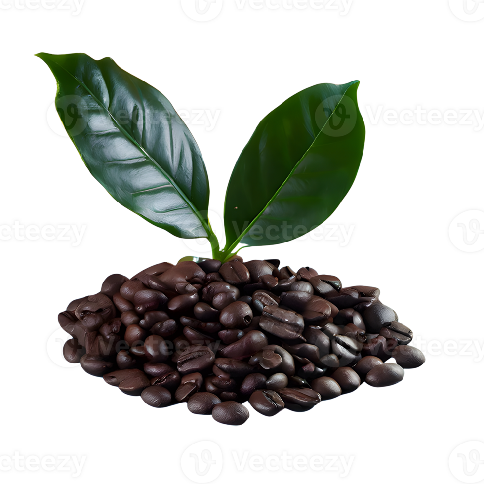 AI generated Coffee beans with leaves isolated on transparent background png