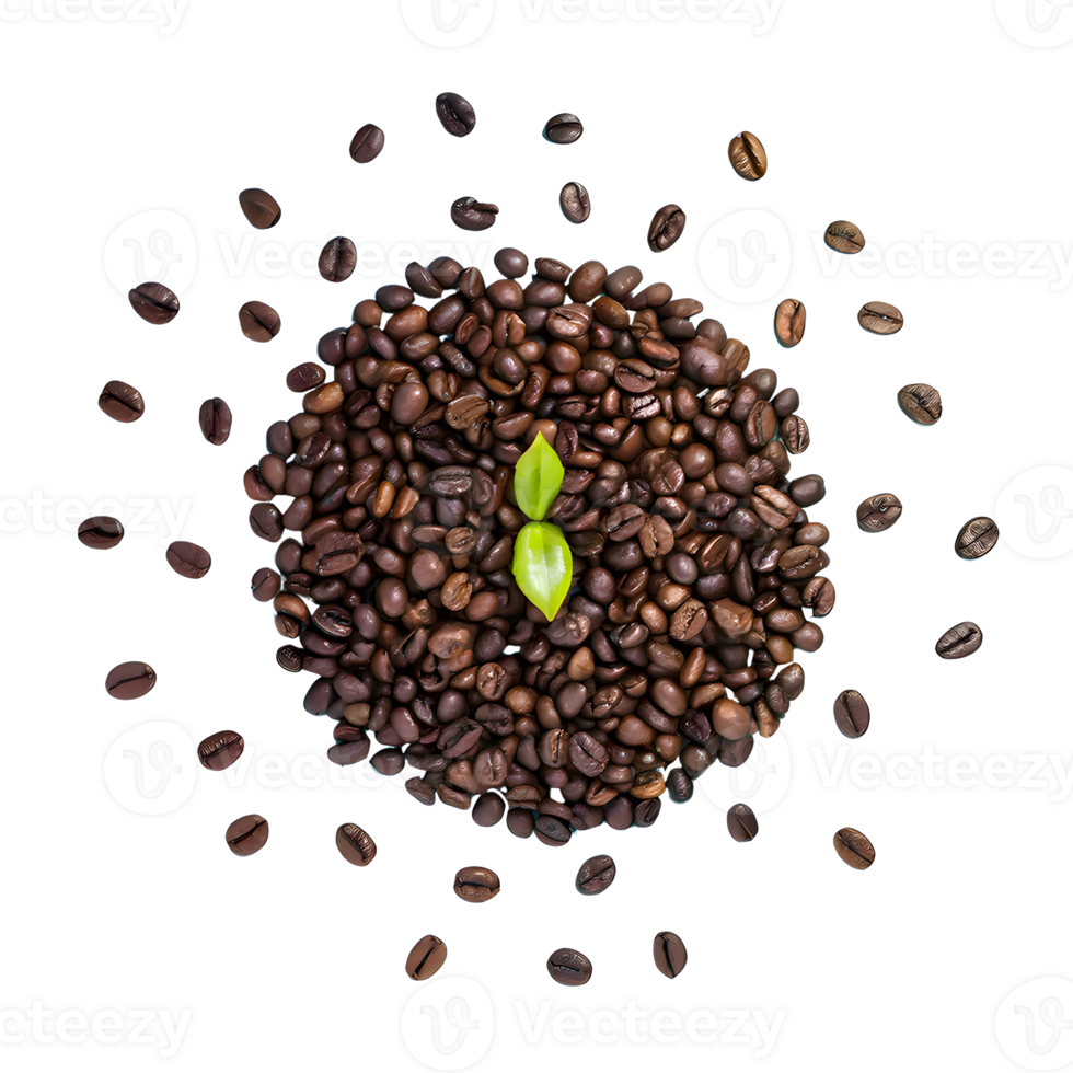 AI generated Coffee beans with leaves isolated on transparent background png