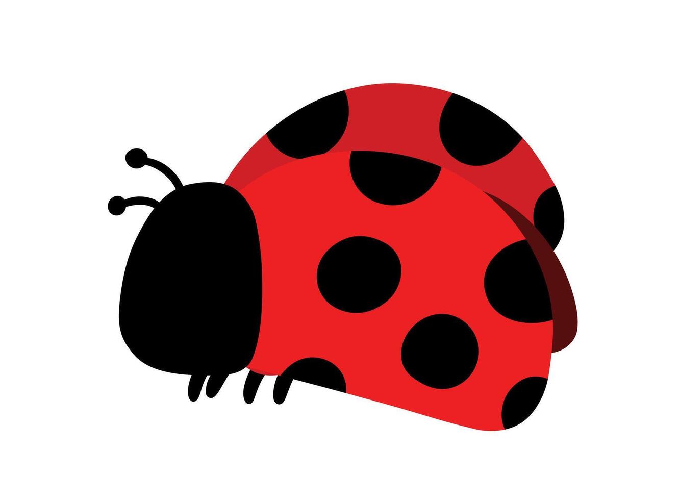 Flat Ladybug Insect Animal Hnaddrawn Cartoon Doodle Vector Illustration