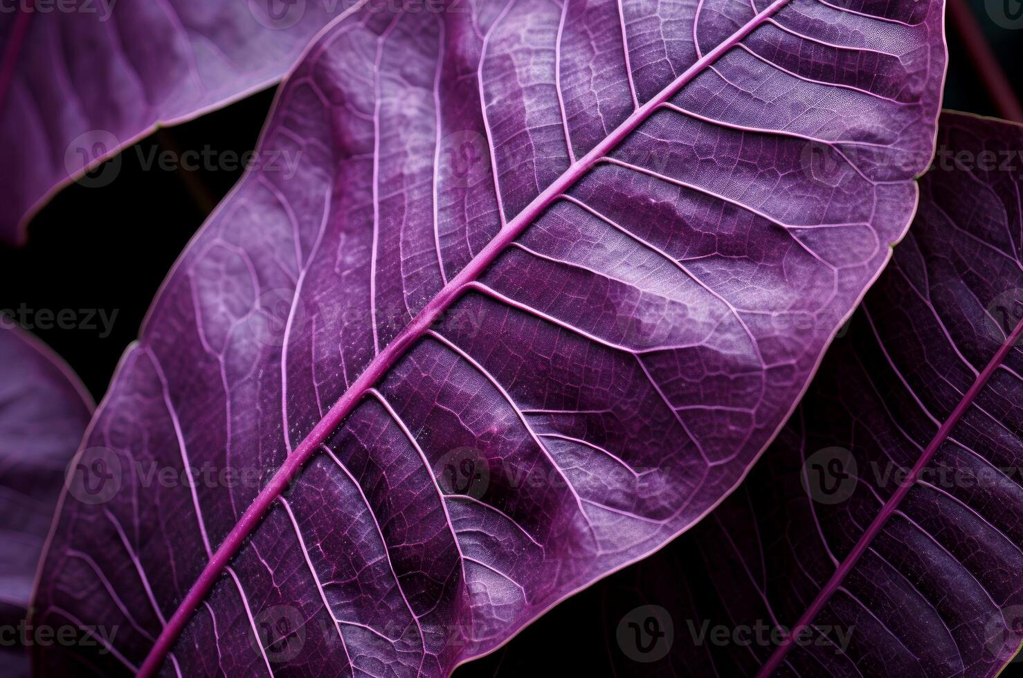 AI generated Intricate Macro purple leaf water drops. Generate Ai photo