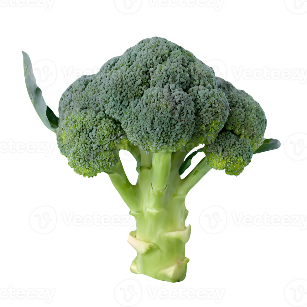AI generated Fresh broccoli isolated on transparent background png