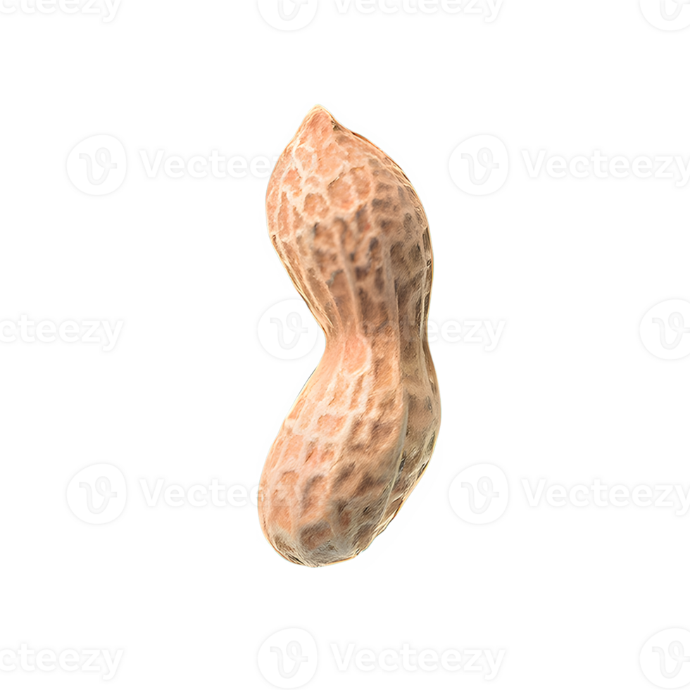 AI generated Peanuts isolated on transparent background png