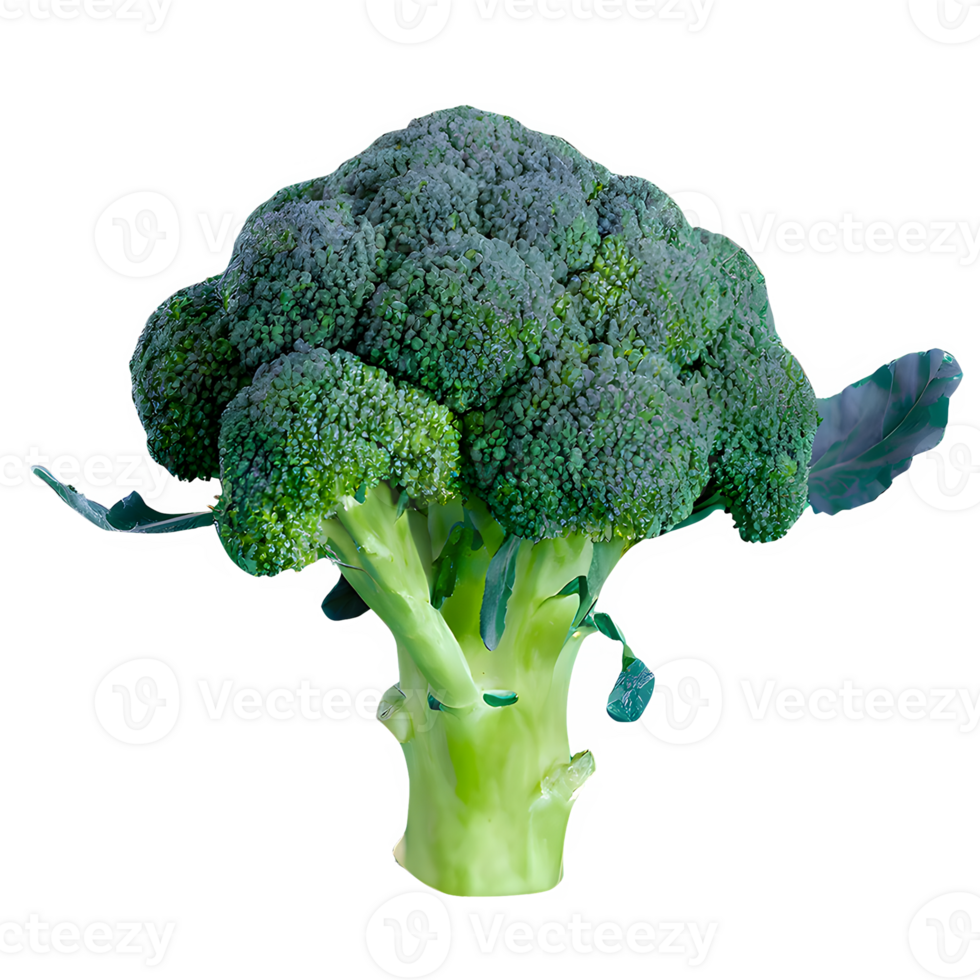AI generated Fresh broccoli isolated on transparent background png