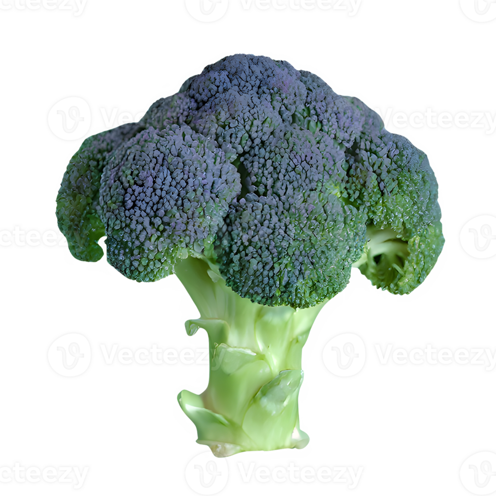 AI generated Fresh broccoli isolated on transparent background png
