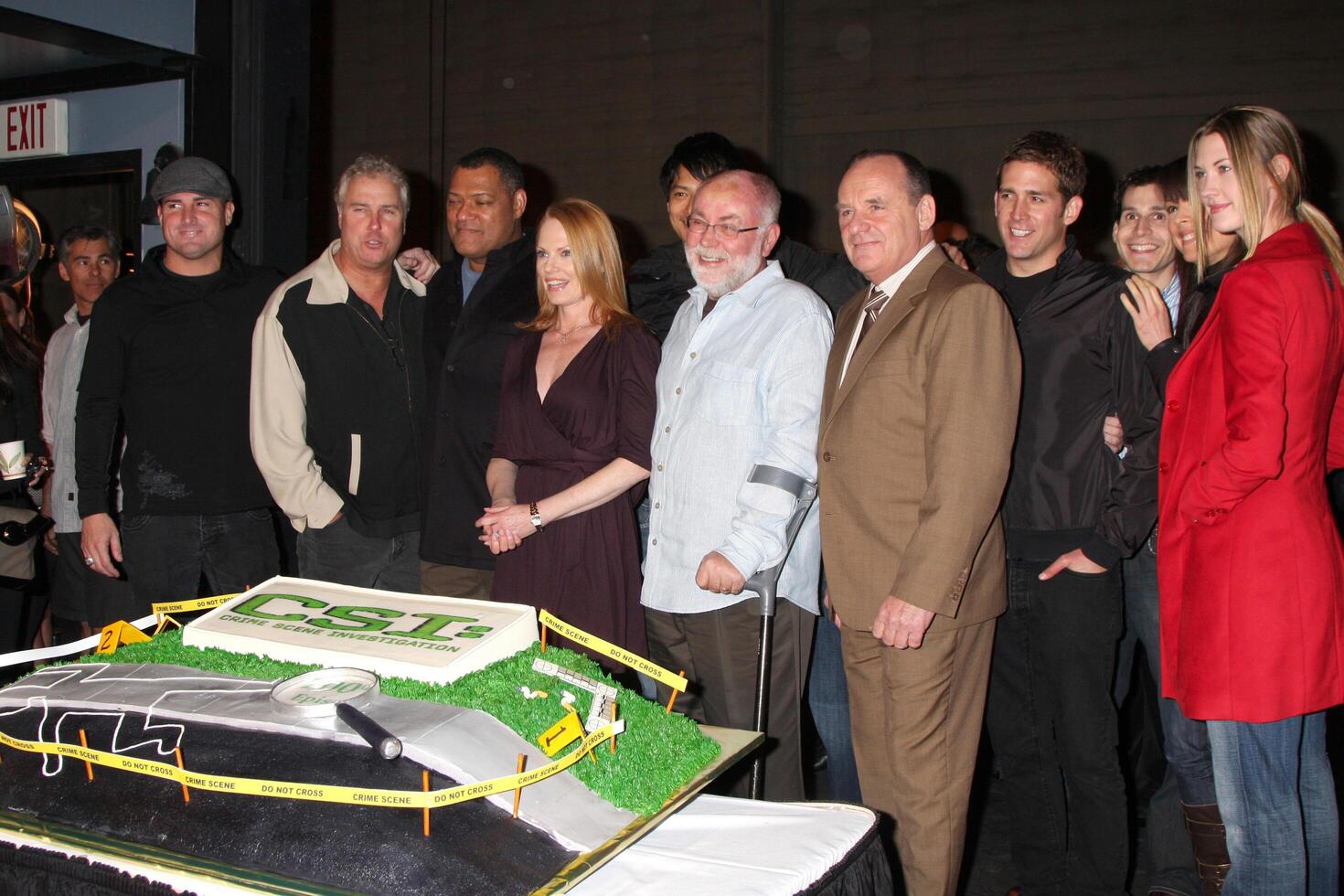 the Cast of CSI  including Lawrence Fishburne, William Petersen, and Marg Helgenberger photo