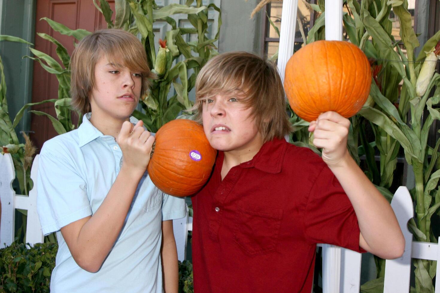 Cole  Dylan Sprouse arriving to the Camp Ronald McDonald Event on the backlot of Universal Studios, in Los Angeles, CA  on October 26, 2008 photo