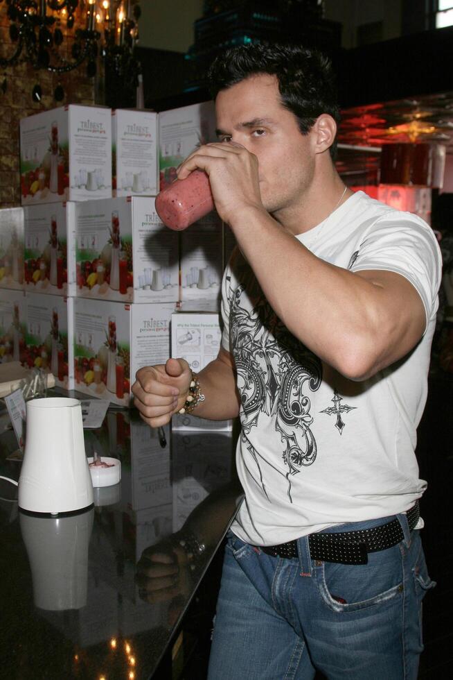 Antonio Sabato Jr. GBK MTV Movie Awards Gifting Suites  Crimson  Opera Los Angeles,  CA May 31, 2008 photo