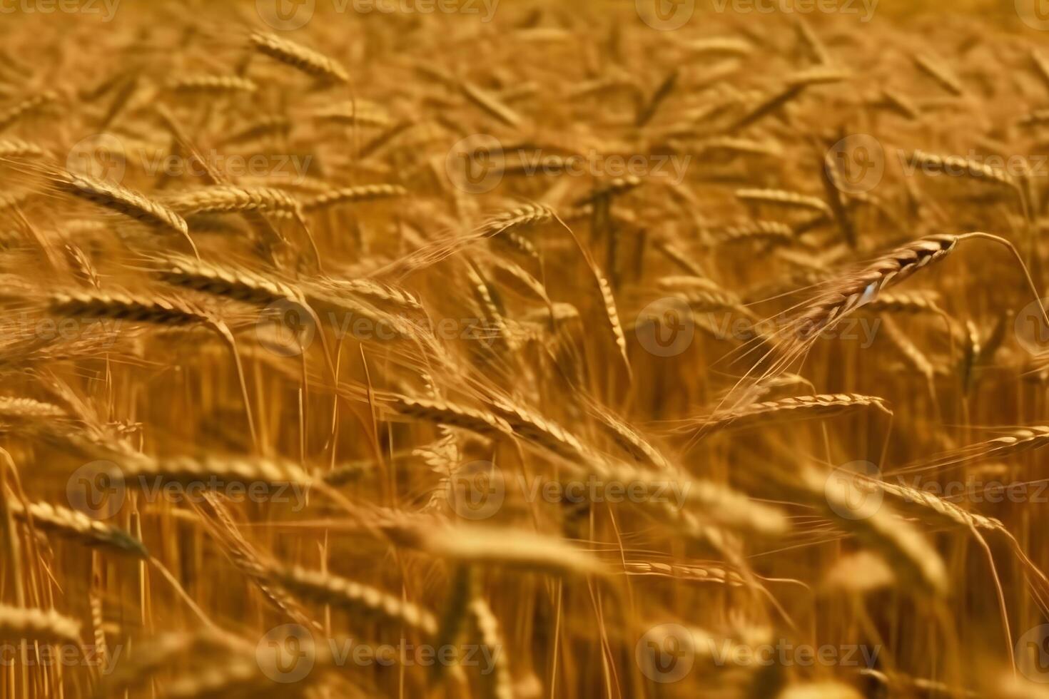 AI generated Locusts on wheat grain. Neural network AI generated photo