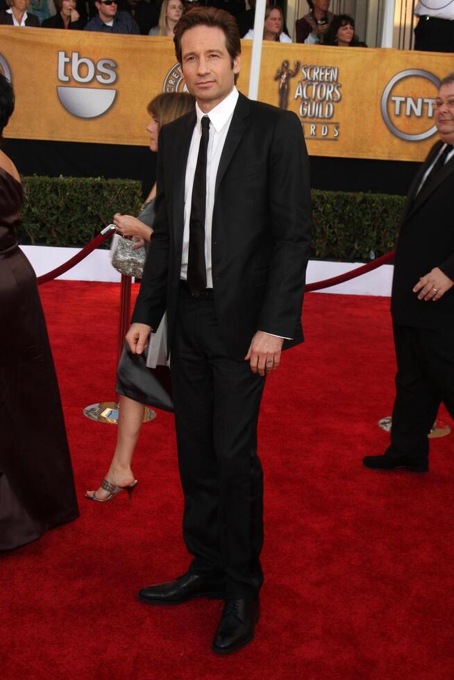 David Duchovny   arriving at the Screen Actors Guild Awards, at the Shrine Auditorium in Los Angeles, CA on  January 25, 2009  2008 photo