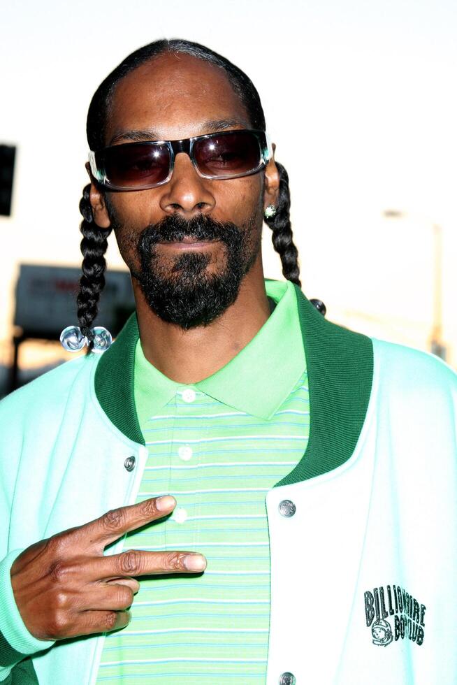 LOS ANGELES - AUGUST 4  Snoop Dogg arrives at the Takers World Premiere at ArcLight Cinerama Dome Theater on August 4, 2010 in Los Angeles, CA photo