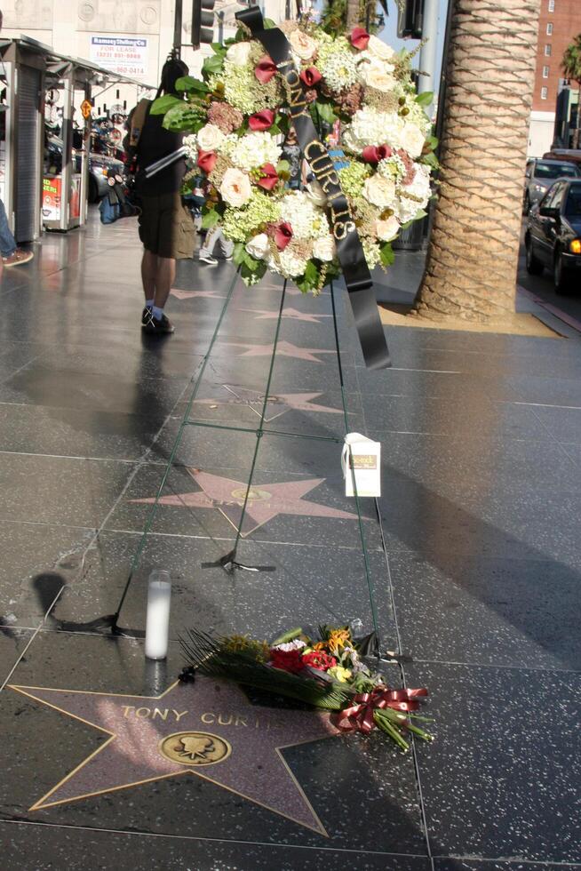 LOS ANGELES - SEP 30  Tony Curtis Star Memorial wreath on the Hollywood Walk of Fame star of Tony Curtis at Hollywood Walk of Fame on September 30, 2010 in Los Angeles, CA photo