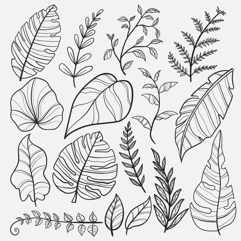 A set of tropical leaves line art in hand drawn style, including monstera, leaf, and branch, excellent for print, fabric design, lady beauty, wallpaper, and wedding invitations. vector