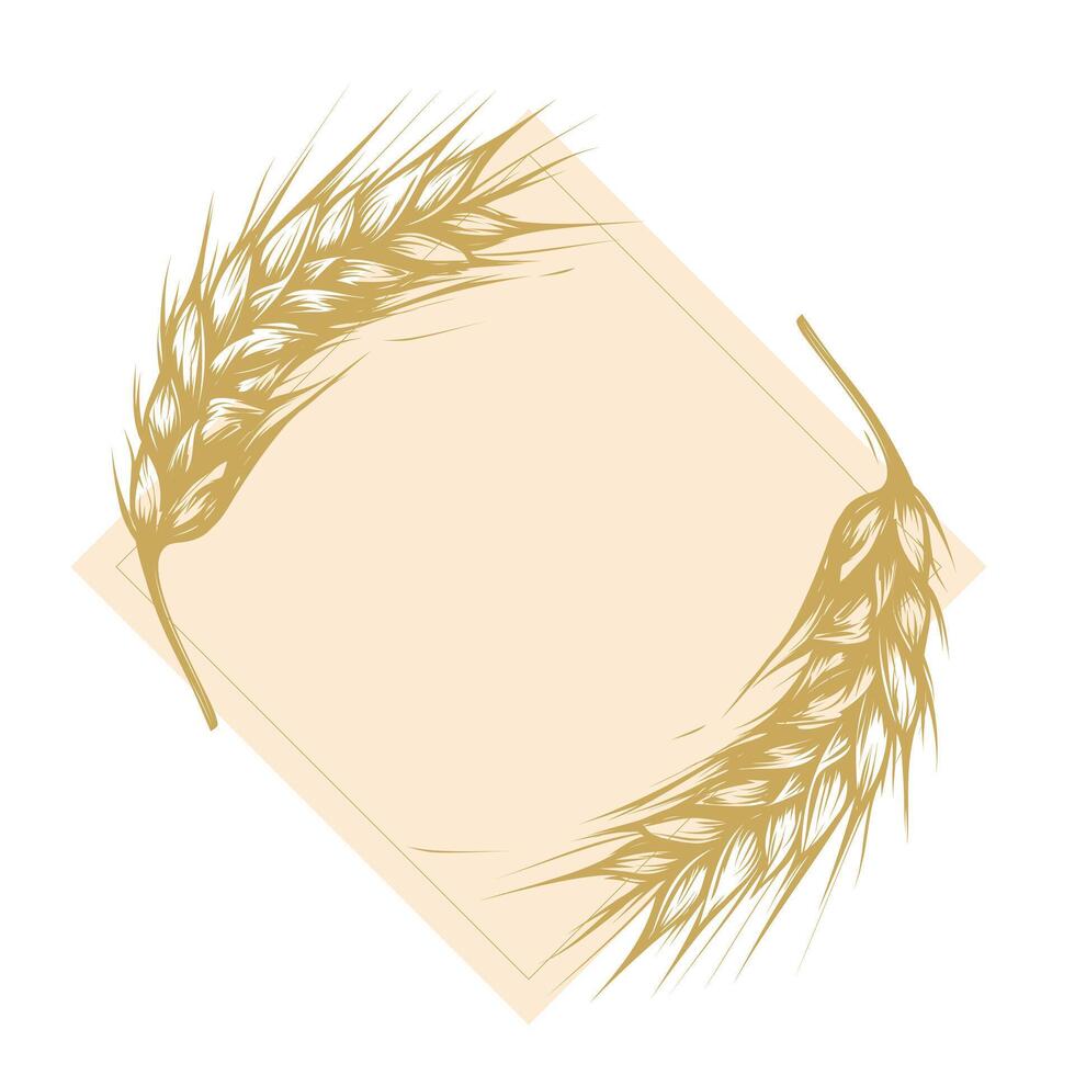 whole grain wheat frame or border. Rye, barley, oats wreath design in engraving sketch style. Vector illustration isolated on white background for logo, bakery, menu.