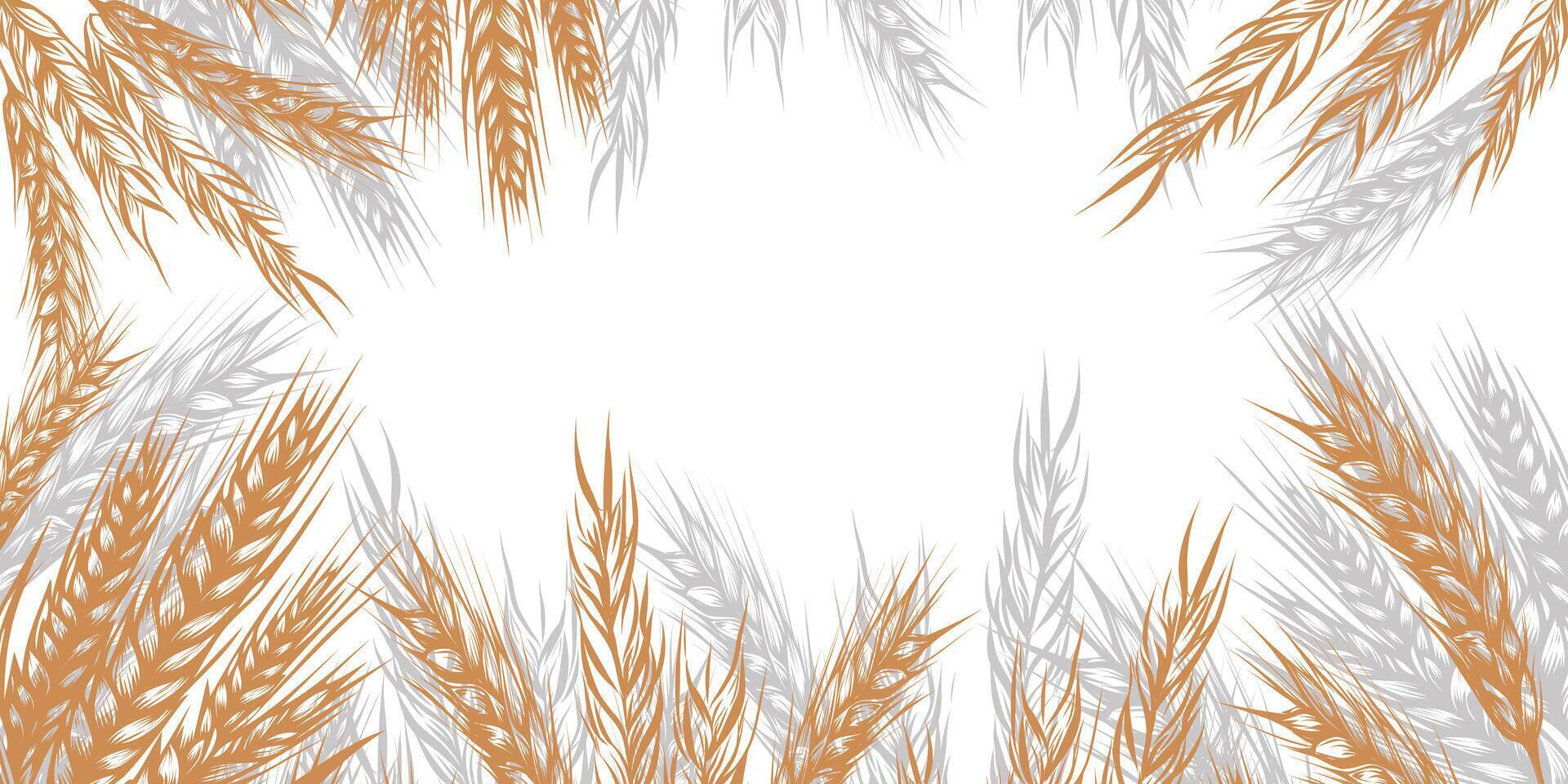 Border order of spikelets of wheat, rye, barley with copy space. Background for packaging, bakery shop, flour products, farm products, vector illustration isolated on background.