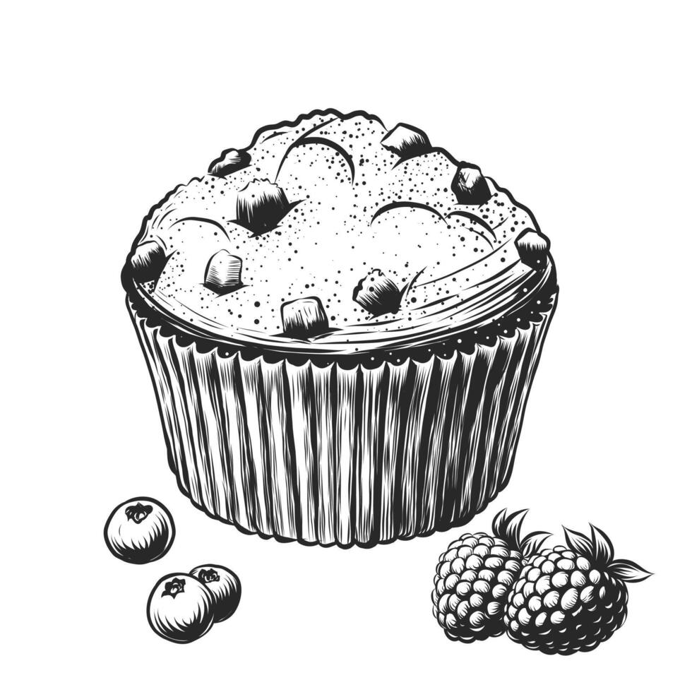 Vector sketch illustration of Muffin with blueberries, raspberries and chocolate pieces. Vintage sketch engraving style isolated on white background for pastry menu, design window, cafe, bakery.