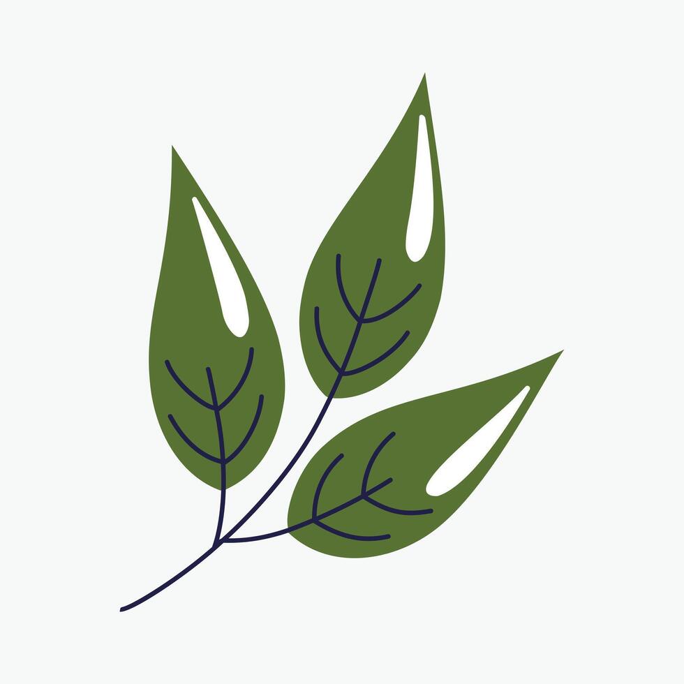 green leaves on white background vector