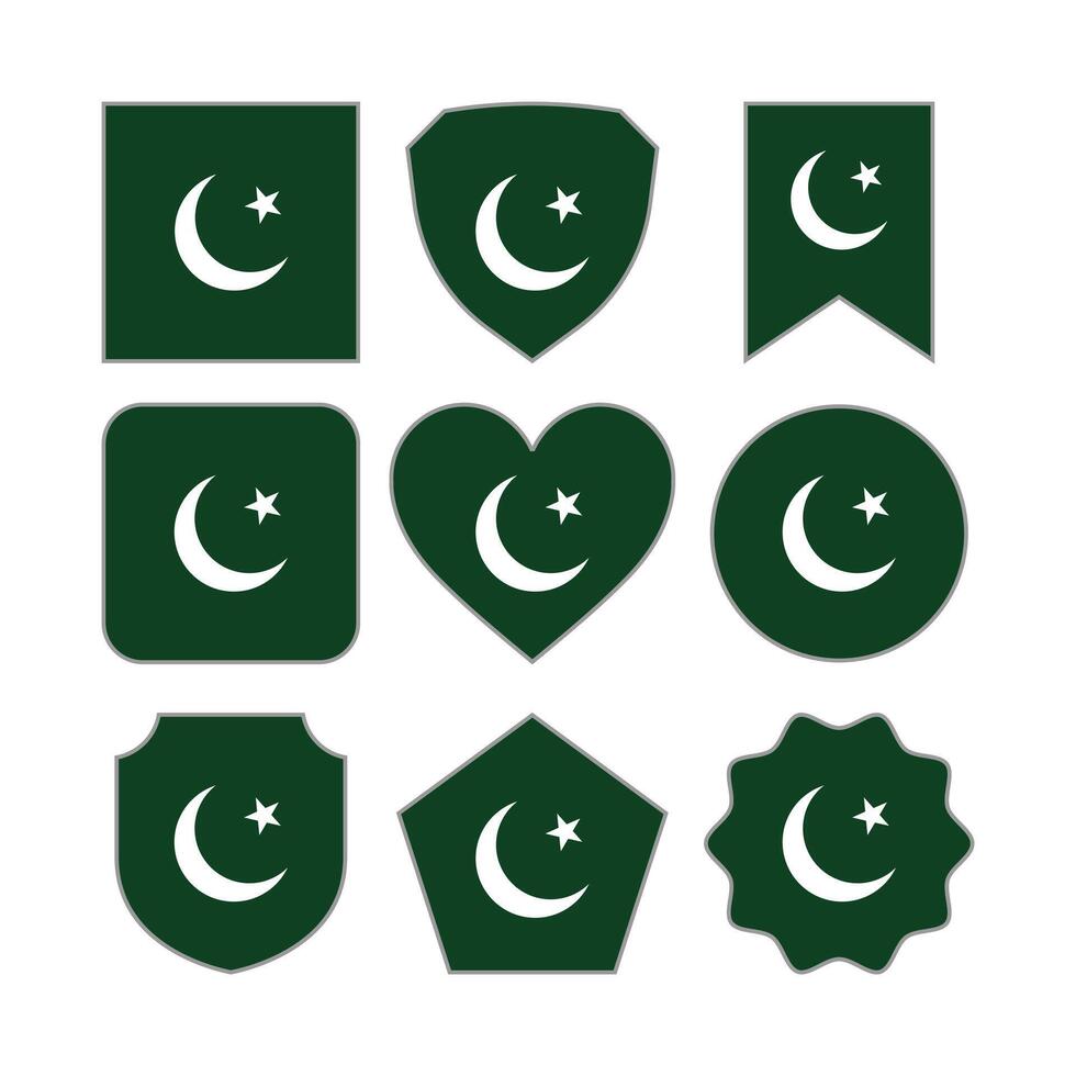 Modern Abstract Shapes of Pakistan Flag Vector Design Template