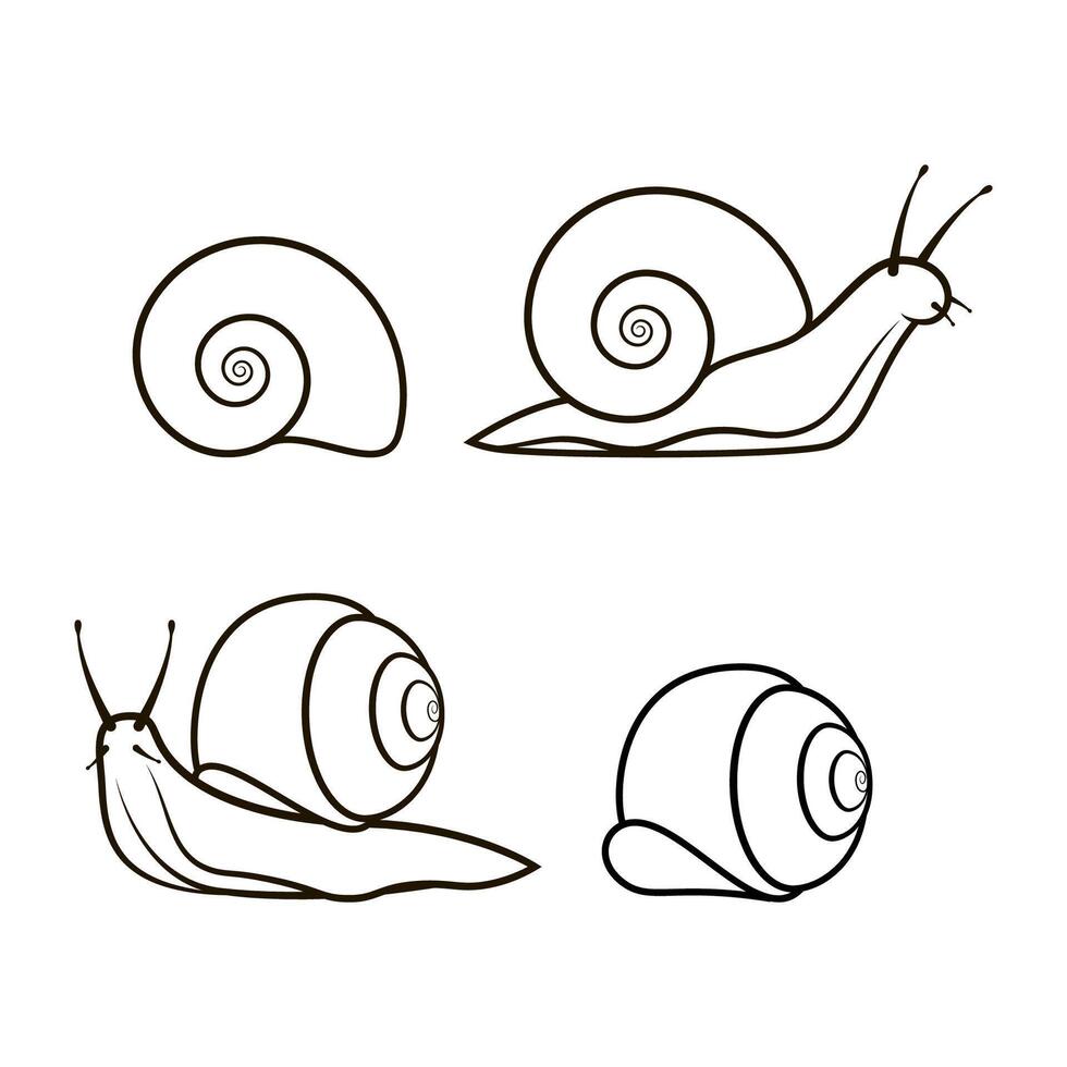 caracol línea Arte vector aislado en blanco antecedentes. caracol icono vector.