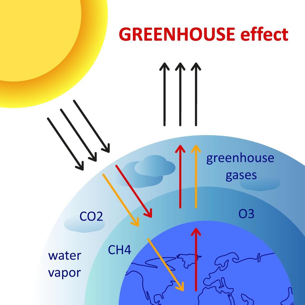 Greenhouse effect scheme. Diagram showing how the greenhouse effect works. Global warming, greenhouse gases. Climate change. Ecological vector illustration concept.