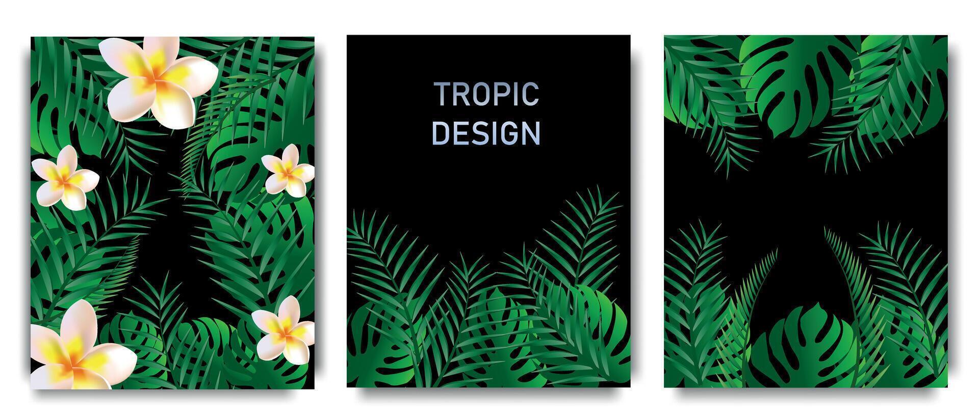 Set of banners made from tropical leaves, green jungle plants and exotic plumeria flowers. Natural frame with banana and monstera foliage, coconut palm. Posters with realistic elements for your design vector