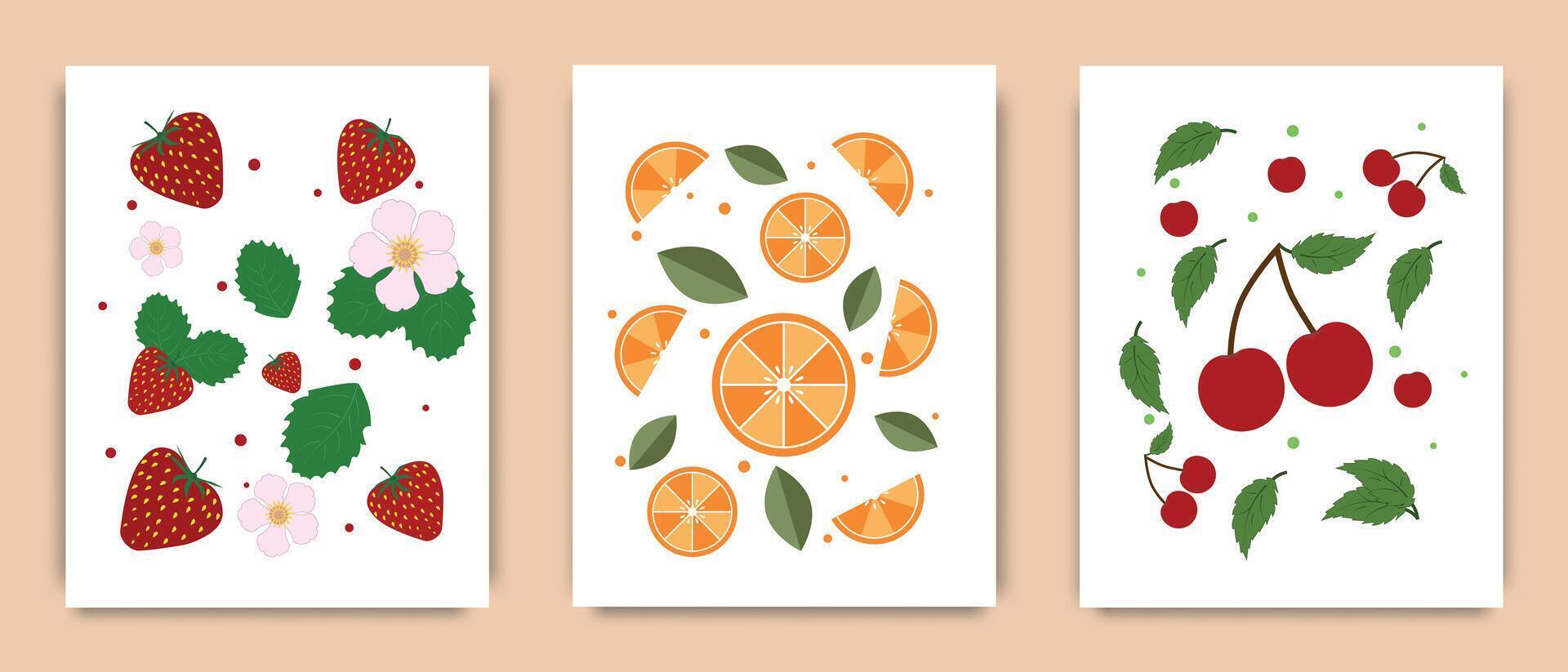Fruit posters in modern style, wall art. Illustration of strawberry, orange and cherry on a white background. Spring and summer season design for home decor, interior. vector