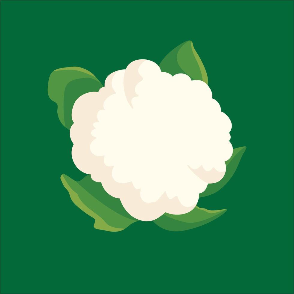 icono de vector de coliflor