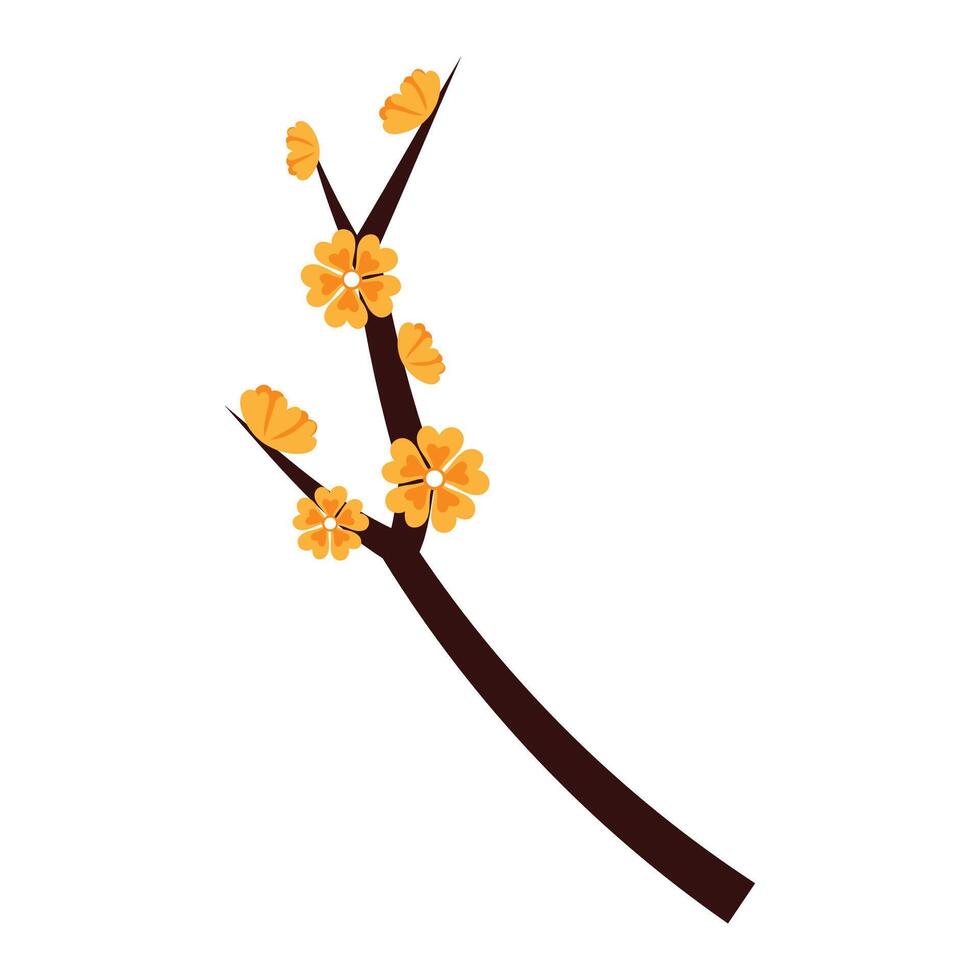 yellow blossom Apricot branch vector