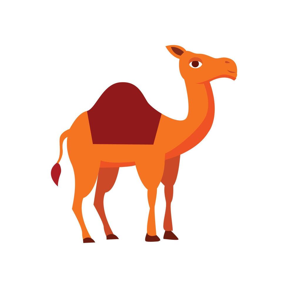 camel vector illustration, cartoon camel in flat style