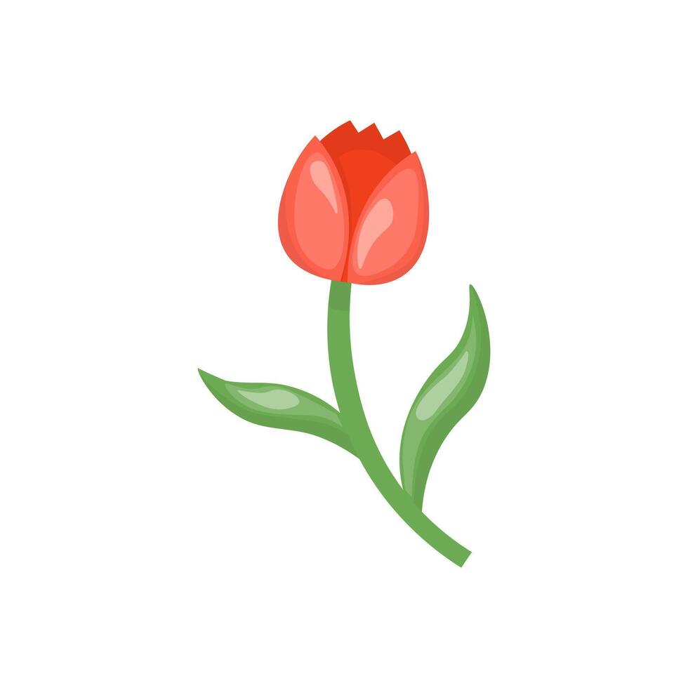 Single clipart red  tulip in hand drawn style. Botanical clipart. Perfect for cards, logo, decorations, spring and summer designs. Stock isolated image on a white background. vector