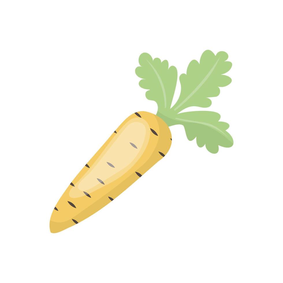Vector clipart of carrots in cartoon style. Colorful spring vegetable. Illustration for greeting card, pattern design, print, sticker. Stock vector illustration.
