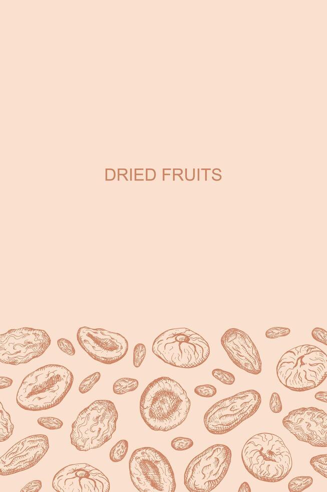 Dried fruits card design hand drawn sketch background vector illustration with Prunes, dried apricots, dry fruits, figs, dates, plum Trendy vintage engraved border for packaging, print, template label