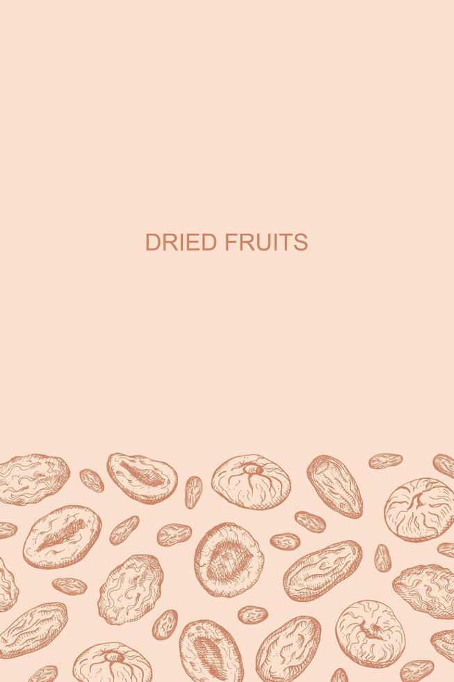 Dried fruits card design hand drawn sketch background vector illustration with Prunes, dried apricots, dry fruits, figs, dates, plum Trendy vintage engraved border for packaging, print, template label