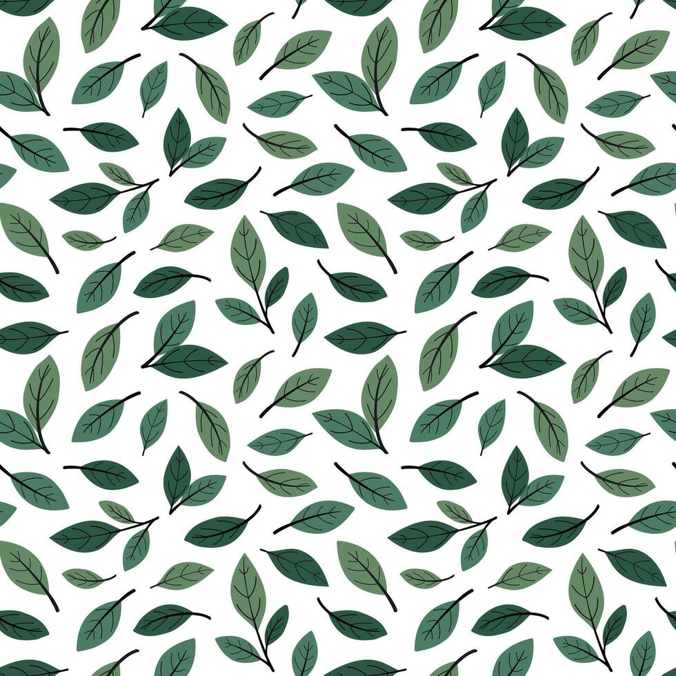 Vector seamless pattern with green hand drawn tea leaves. Design for print, fabric, invitation, wallpaper. Isolated on white background.
