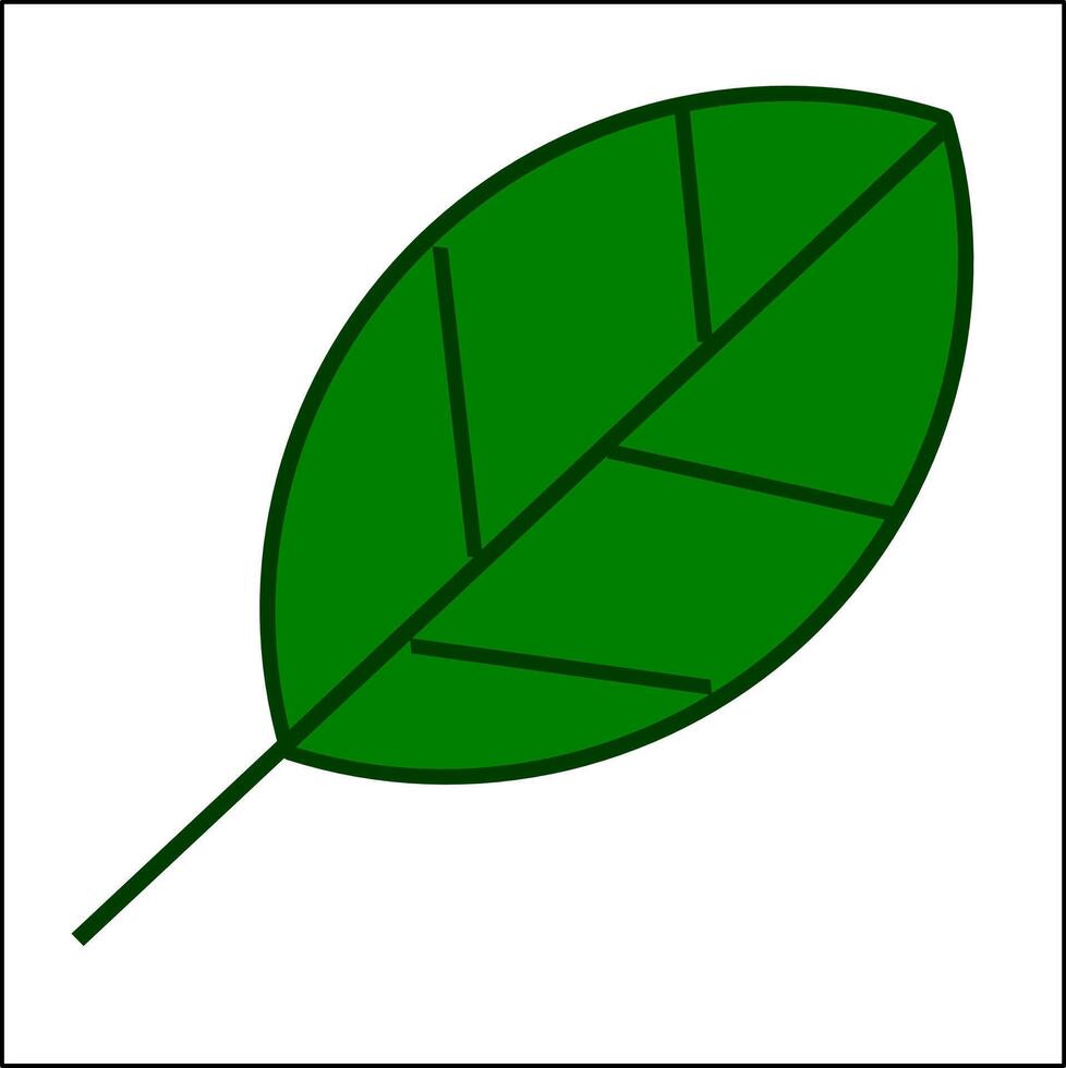 leaf flat vector