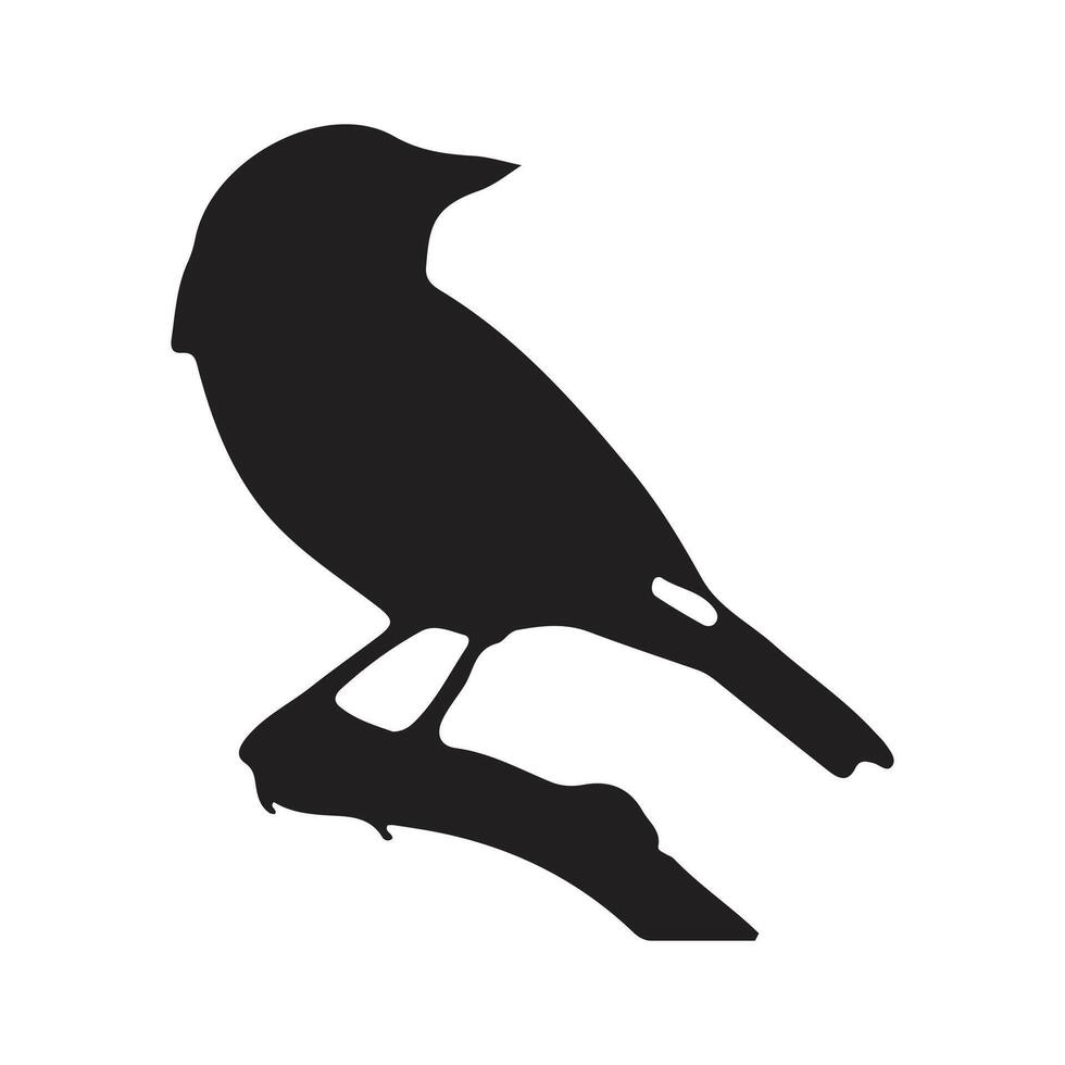 bird silhouettes white background. Vector illustration